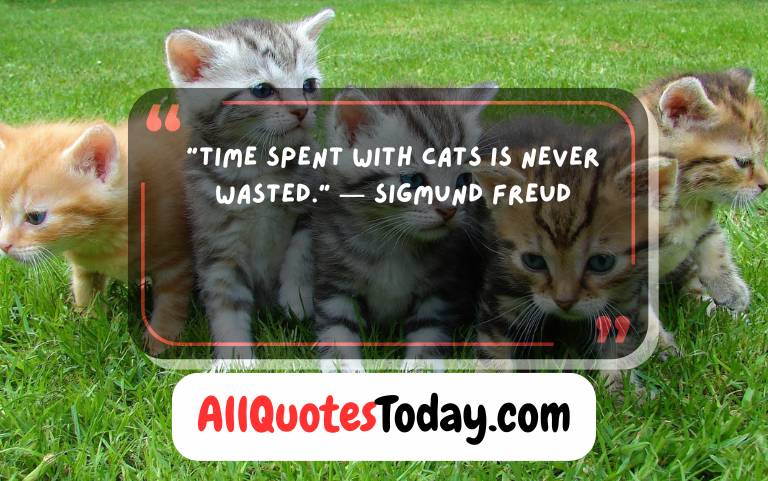 Cat Quotes to Celebrate Your Furry Best Friend