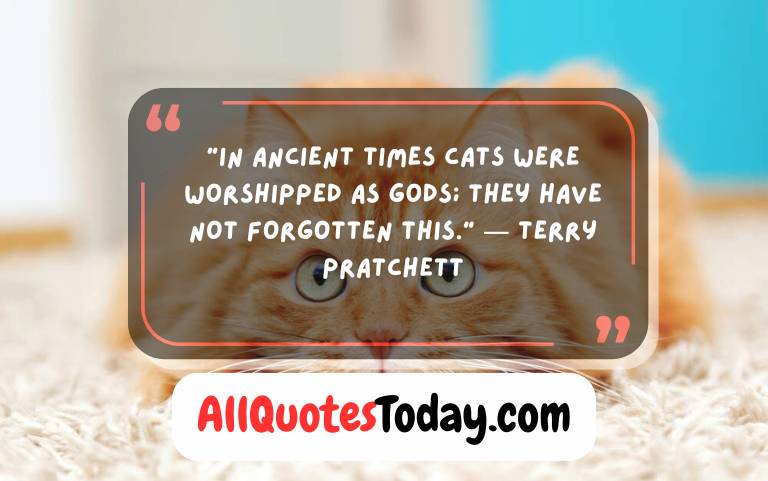Cheshire Cat Quotes