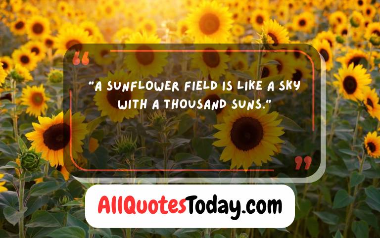 Positive Sunflower Quotes Short Positive Sunflower Quotes Short