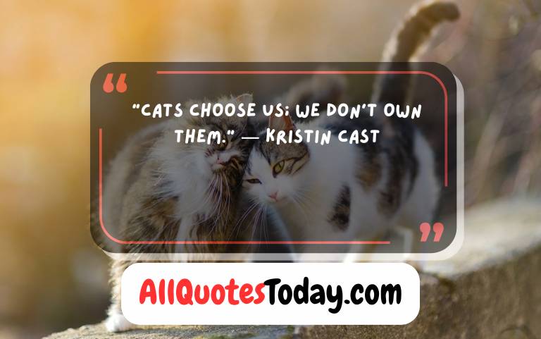 Quotes About Cats