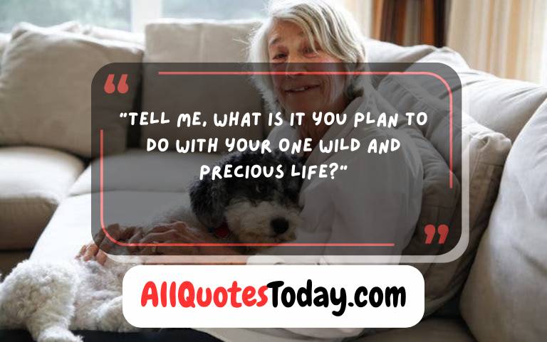 Beautiful Mary Oliver Quotes on Life and Nature