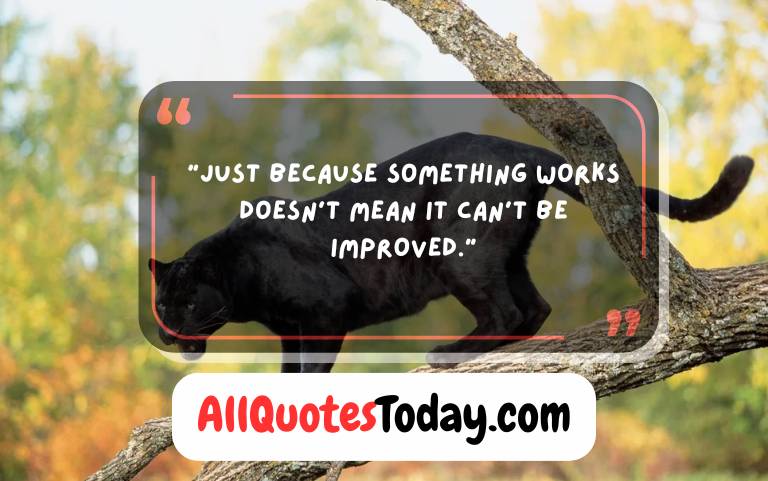 Black Panther Quotes Black Panther Quotes