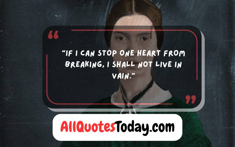 Emily Dickinson Quotes About Life Emily Dickinson Quotes About Life