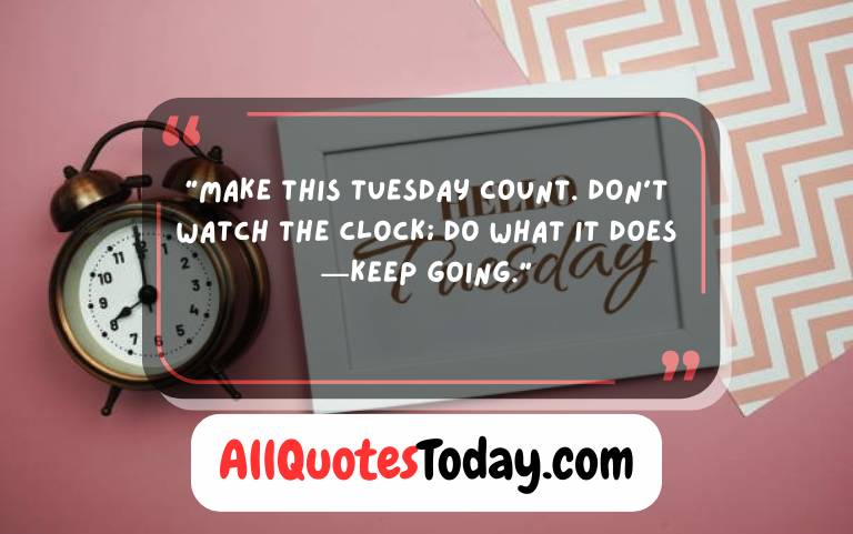 Funny Tuesday Motivation Quotes Funny Tuesday Motivation Quotes