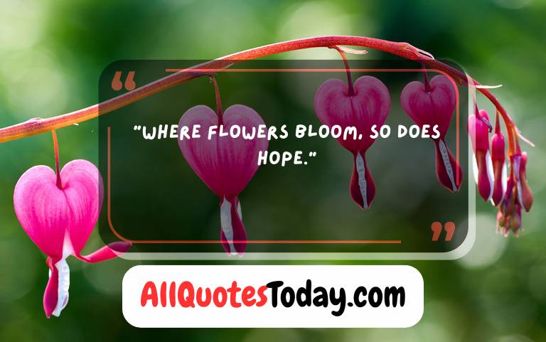 Inspirational Quotes About Flowers Inspirational Quotes About Flowers