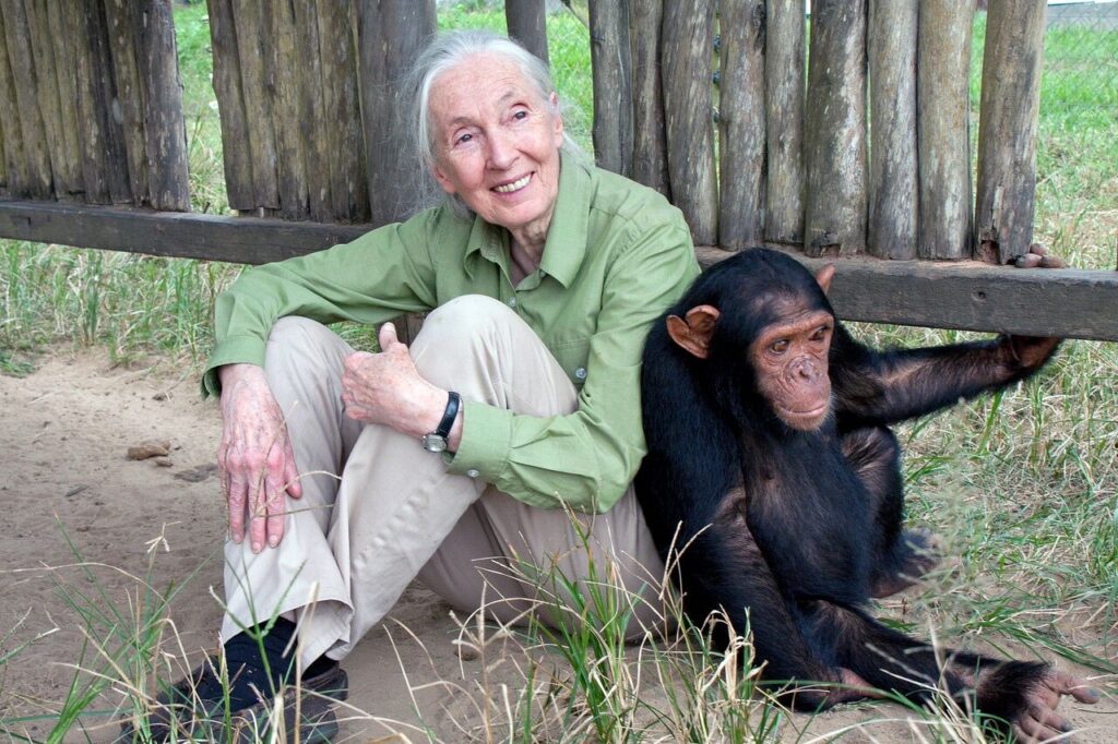 Jane Goodall Quotes