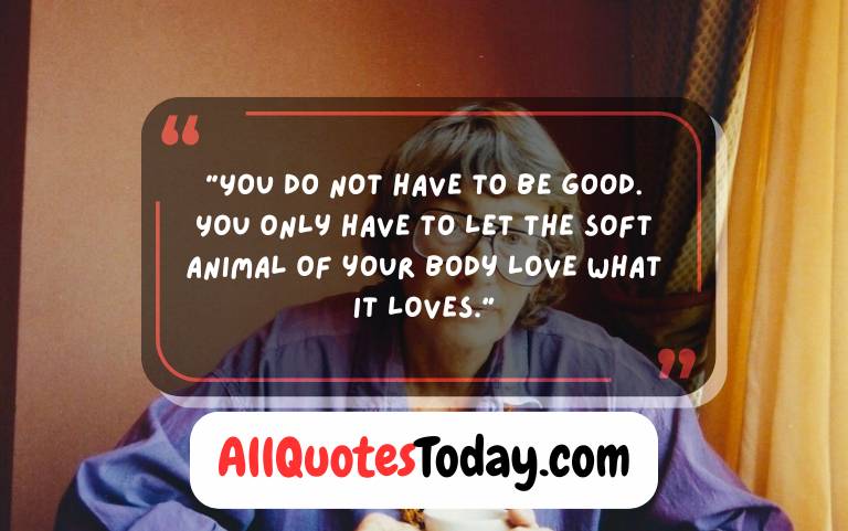 Mary Oliver Quotes on Love Mary Oliver Quotes on Love