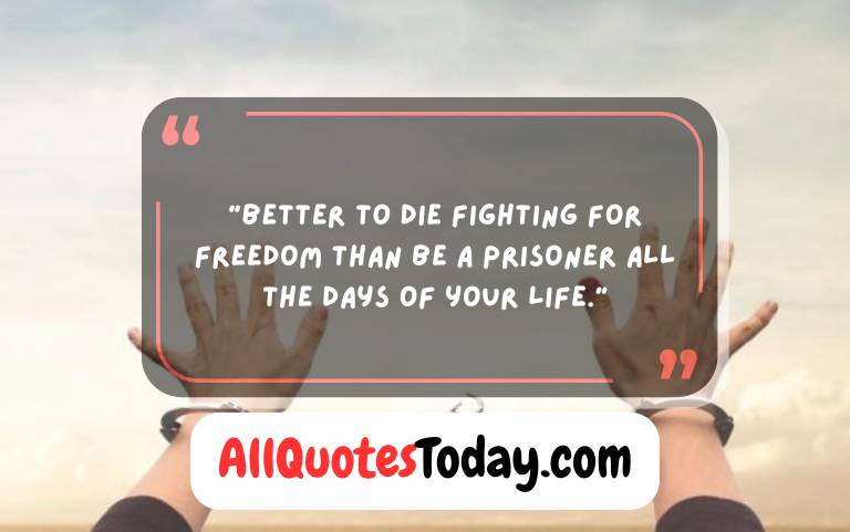 Quotes About Freedom of Speech Quotes About Freedom of Speech