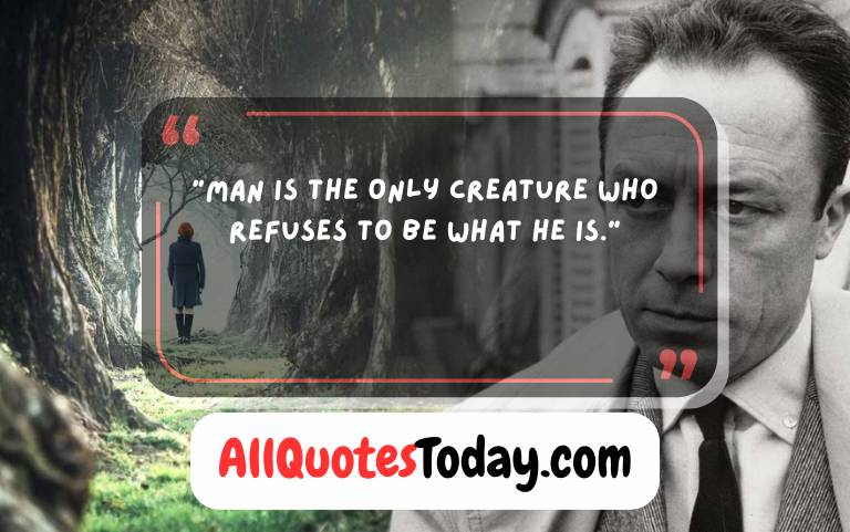 The Stranger – Albert Camus Quotes The Stranger – Albert Camus Quotes