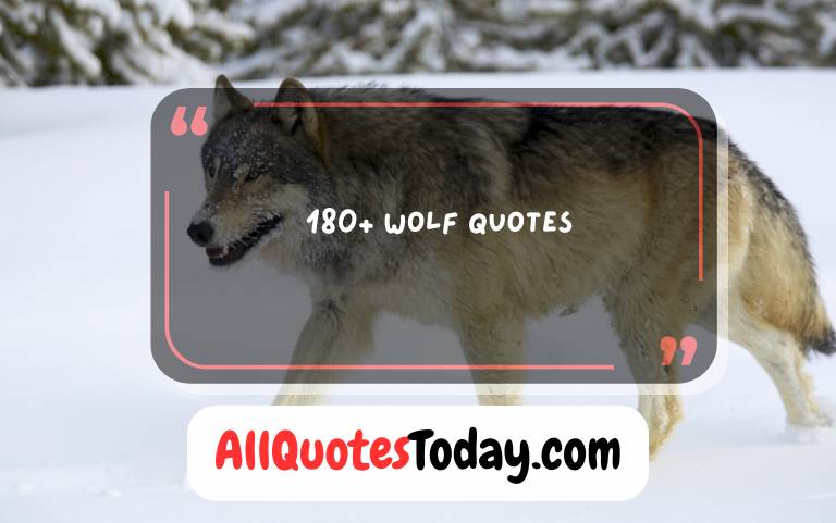 Wolf Quotes