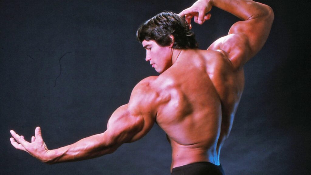 Arnold Schwarzenegger Quotes