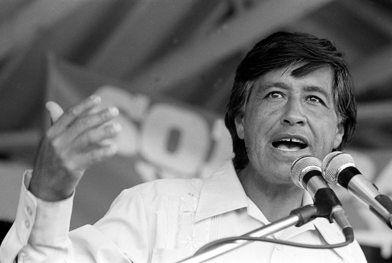 César Chávez Quotes