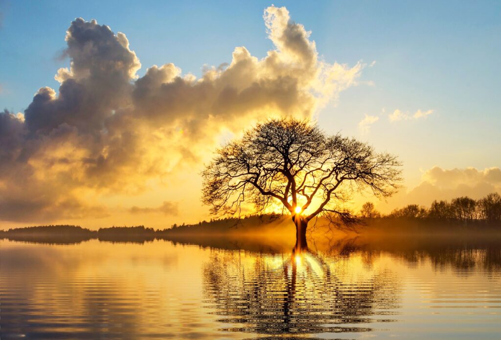 Quotes About Healing